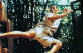 Karate Tiger 3 - Der Kickboxer